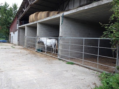 Ecurie Du Fretay, Pension pour Chevaux au Châtellier