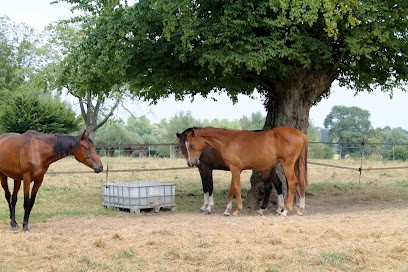 HD2M, Pension pour Chevaux au Favril