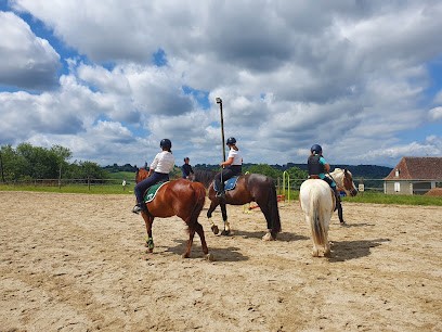 Ecurie Des Gaves, Centre Equestres à Sauveterre-de-Béarn
