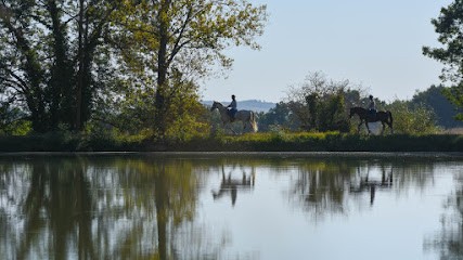 Les Écuries D'ars, Pension pour Chevaux à Frégouville