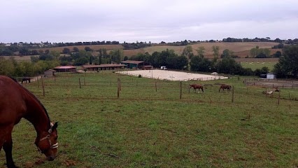 Poney Club De Flourens, Centre Equestres à Flourens