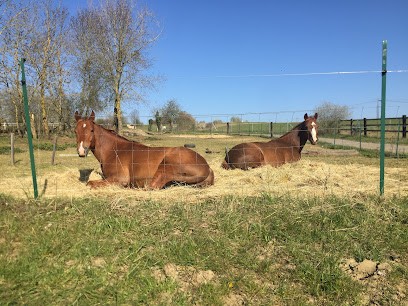 Etrier De Moselle, Centre Equestres à Peltre