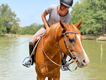 Romane Metche - Equi'pôle De Gilède, Centre Equestres à Mons