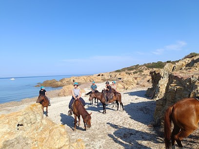 Balade à Cheval Ostriconi, Centre Equestres à Palasca
