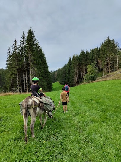Rando Âne Jura, Centre Equestres à Nanchez