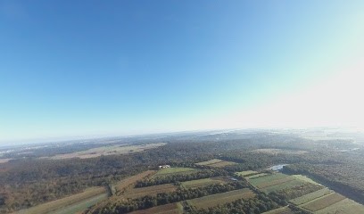 Ecuries Alexandre Boivin, Pension pour Chevaux à Auffargis