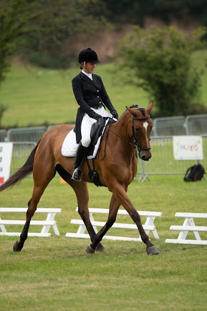 Ecurie De Festes, Centre Equestres à Villesèquelande