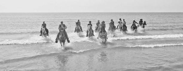 Rando Ranch, Pension pour Chevaux à Montarnaud