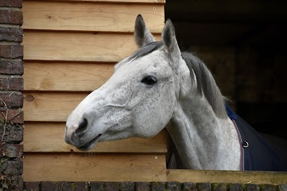 Ecurie Cotipont, Pension pour Chevaux à Bellignies