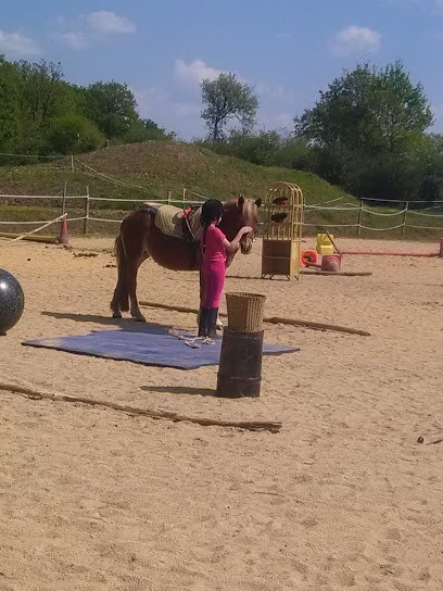 Poney Evasion, Centre Equestres à Entrammes