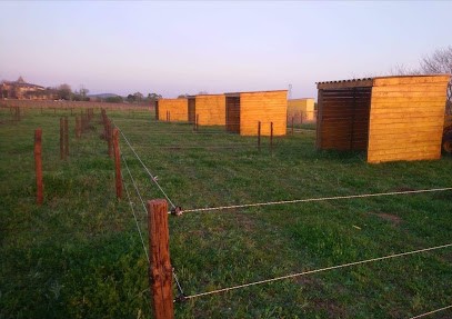 Le Mas Des Prunelles, écurie De Propriétaires, Pension pour Chevaux à Montblanc