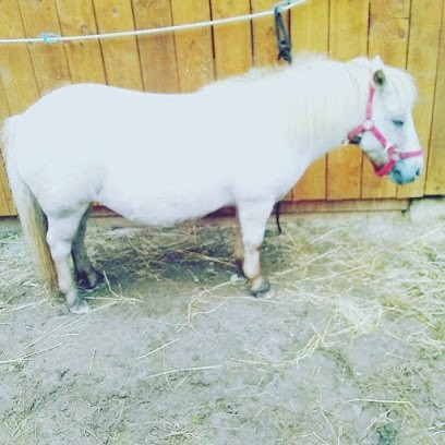 écurie Du Petit Cézarin, Centre Equestres à Naves
