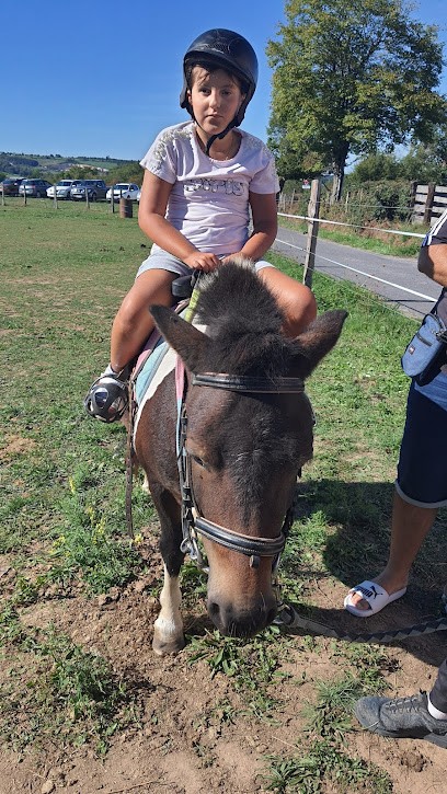 Haras des forges, Centre Equestres à Saint-Prix