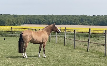 HARAS d’ANDAS, Centre Equestres à Montjoi
