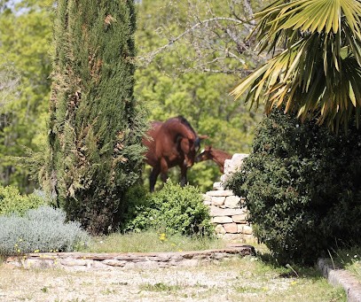Haras De FR, Centre Equestres à Saint-Pantaléon-de-Larche