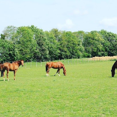 Ecuries Du Breuil, Centre Equestres à Voinsles