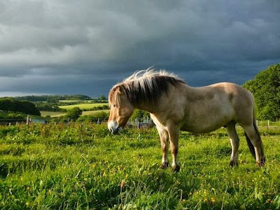 Area Des Chimères, Centre Equestres au Saint