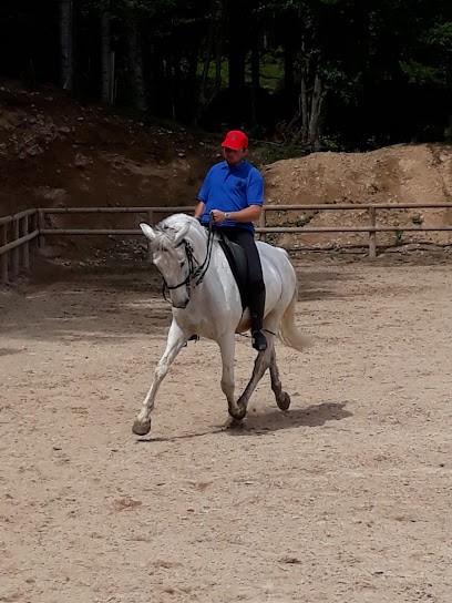 Ecurie Du Dragon, Centre Equestres au Chambon-sur-Lignon