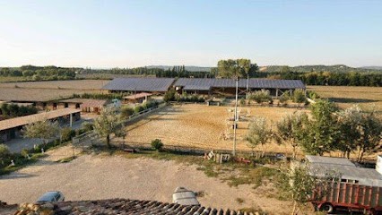 CENTRE EQUESTRE LA MARTELIERE, Centre Equestres à Orange