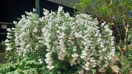 ECURIES DE LA CHOISILLE, Centre Equestres à Mettray