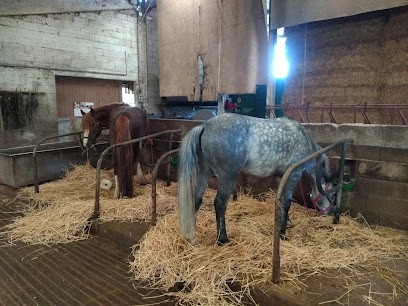 Equestrian Center La Jumenterie, Centre Equestres à Saint-Maurice-sur-Moselle