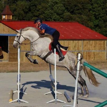 Cheval 87 Ecurie Villa Maria, Pension pour Chevaux à Linards