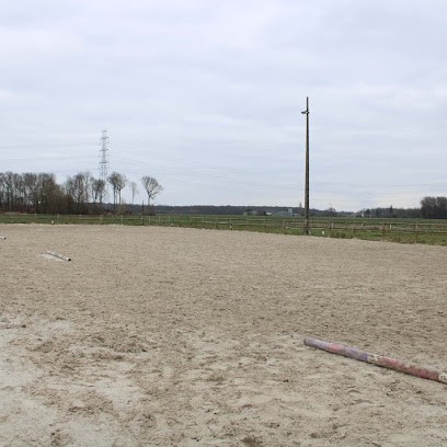 Stables Du Bois Migné, Centre Equestres à Druye