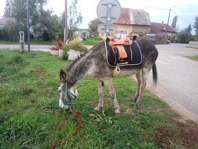 Ric'Âne, Centre Equestres à Gendrey