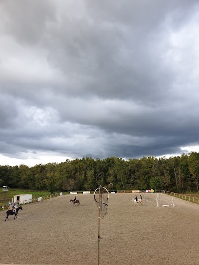 PONEY CLUB DE DAREL EN AGENAIS, Centre Equestres à Pont-du-Casse
