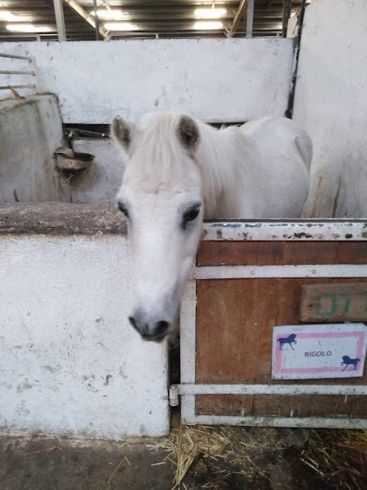 CLUB HIPPIQUE DU BOUSQUET, Centre Equestres à Labège