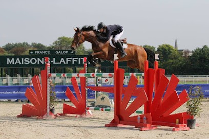 Ecurie Limoges - Écurie De Propriétaires David Detour Cavalier Pro CSo, Centre Equestres à Rilhac-Rancon