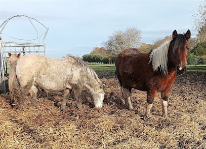 Les Ecuries Evasions, Centre Equestres à Mesnil-en-Ouche