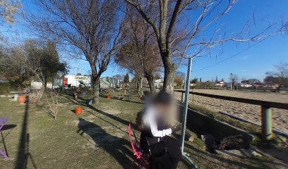 CENTRE EQUESTRE DE MAGALI, Centre Equestres à Rousson