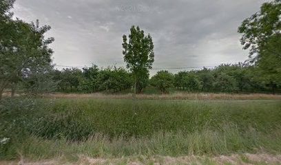 Haras De La Banche, Centre Equestres à Mont-Dol