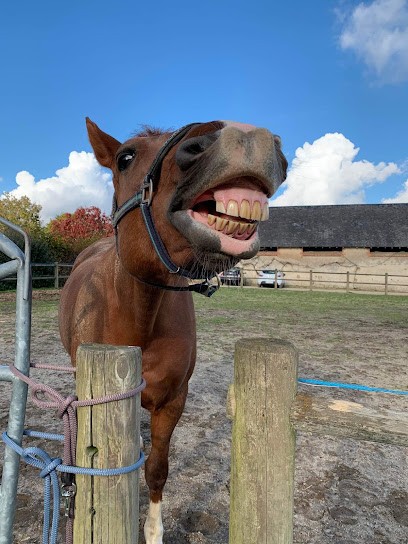 À L'Equi-Libre, Pension pour Chevaux à La Roche-sur-Yon