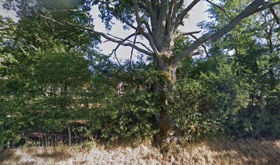 L'agora Du Cheval, Centre Equestres à Cosne-Cours-sur-Loire