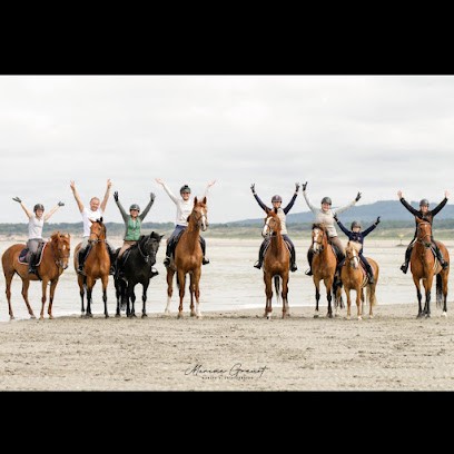 Rive SPORTHORSES, Pension pour Chevaux à Morcourt