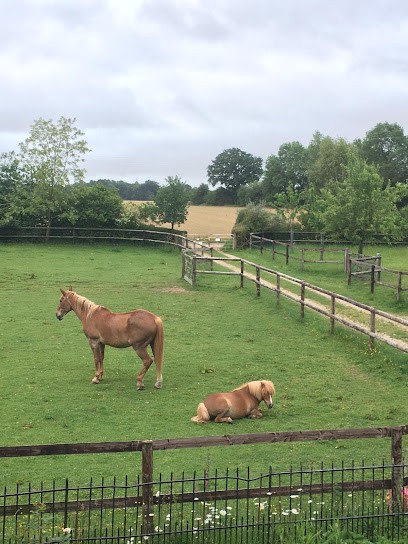 Loupi & co, Pension pour Chevaux à Épaignes