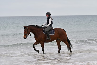 Écurie de Fréhel, Pension pour Chevaux à Fréhel
