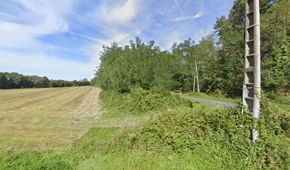 EquiRetraite, Pension pour Chevaux à Lion-en-Sullias