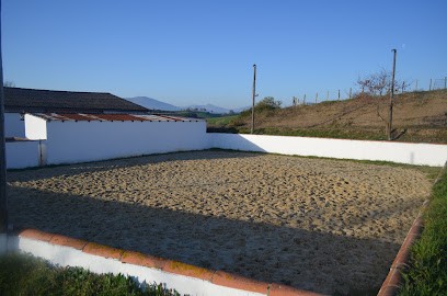 Pension Chevaux-Ganaderia Darritchon - EARL Sahara, Pension pour Chevaux à La Bastide-Clairence