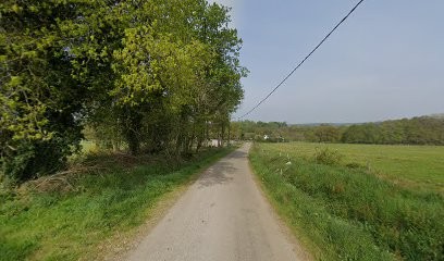 Pension des Montagnes Noires, Pension pour Chevaux à Langonnet