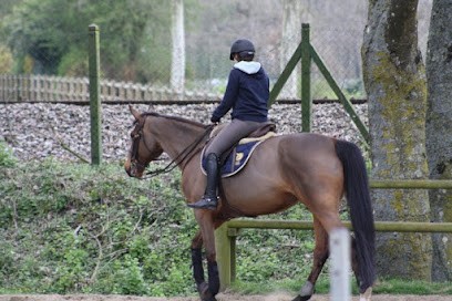 Centre Equestre Flers, Centre Equestres à Flers