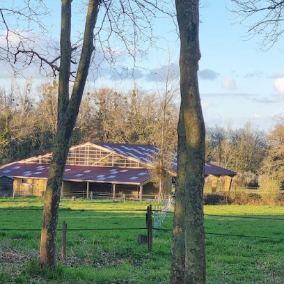 Haras Du Lieutel, Centre Équestre à Galluis