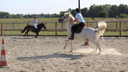 Les Ecuries Micy, Centre Equestres à Saint-Pryvé-Saint-Mesmin