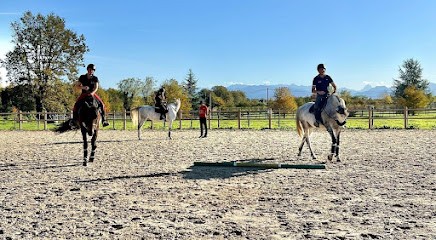 Écurie Des 3A, Pension pour Chevaux à Bougarber
