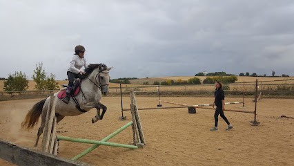 GUIBERT Lydie Centre Equestre Des Charmes, Centre Equestres à Sainte-Pexine