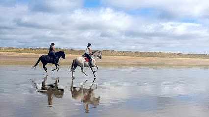 Ecurie Ty Nayo Faustine Leveque, Centre Equestres à Pluvigner