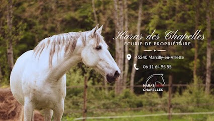 Haras des Chapelles, Centre Equestres à Marcilly-en-Villette