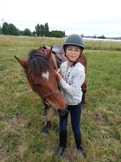 LES CHEVAUX D AEDEN, Centre Equestres à Feugarolles
